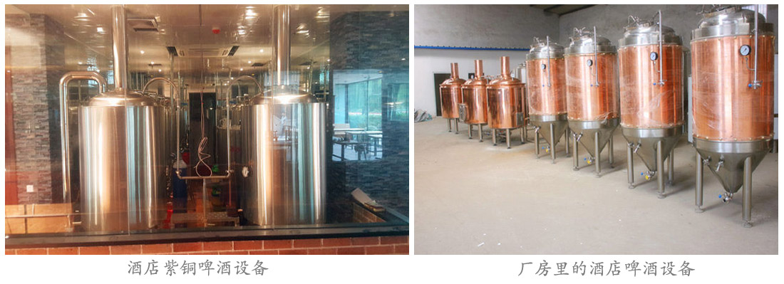 紫铜精酿开云手机注册 紫铜精酿开云手机注册