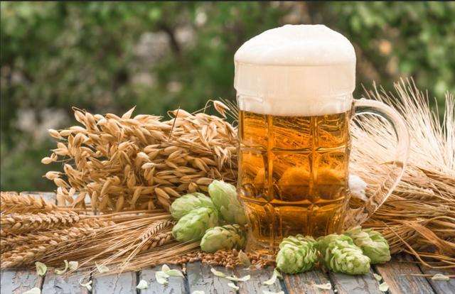 啤酒原料 啤酒原料
