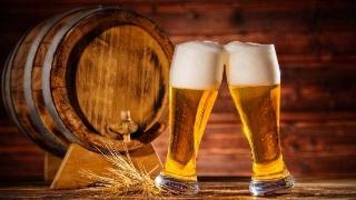 精酿开云手机注册