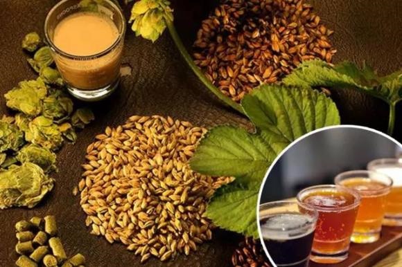 精酿啤酒--山东豪鲁开云手机注册