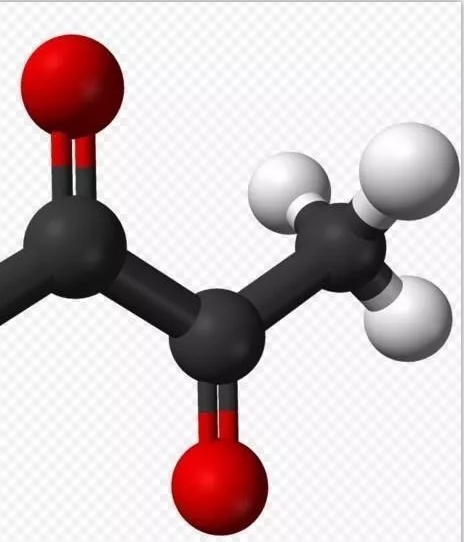 自酿开云手机注册